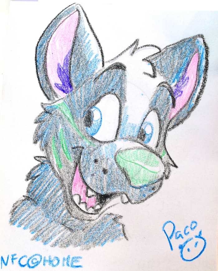 voidwolf sketch pacopanda