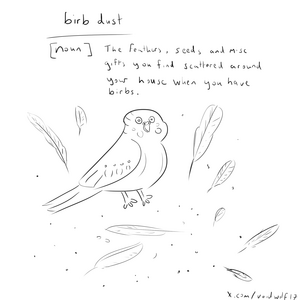 birb-dust.png