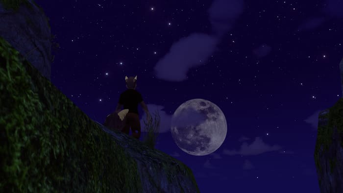 2023 11 06 23 02 28.386